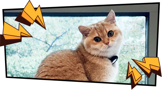 Journal Leap Hero Cat