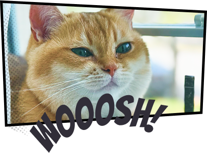 Journal Leap Frame 3